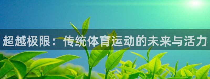 vsport体育官网下载招商电话:超越极限:传统体育运动的未