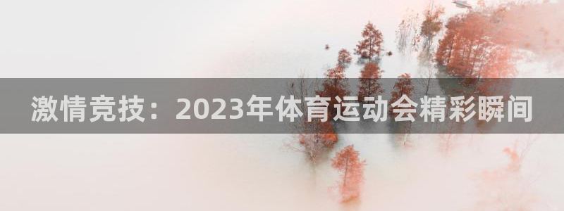 vsport体育官方正版app五金厂:激情竞技:2023年体