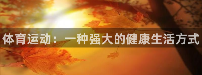 vsport体育官方正版app代理:体育运动:一种强大的健康